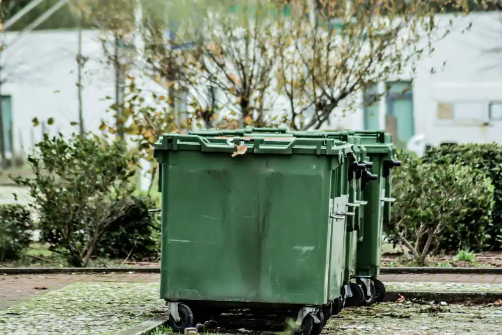 Domestic Skip Bin Hire